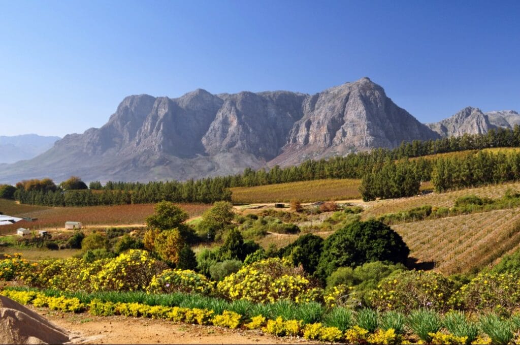 gas installer in Stellenbosch